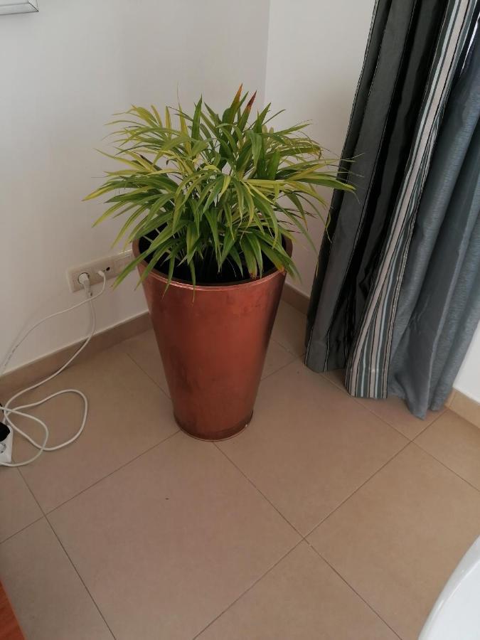 אלבופיירה Modern Apartment With Sunny South Facing Terrace מראה חיצוני תמונה